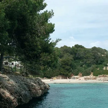 Barcel Ponent Playa Hotel